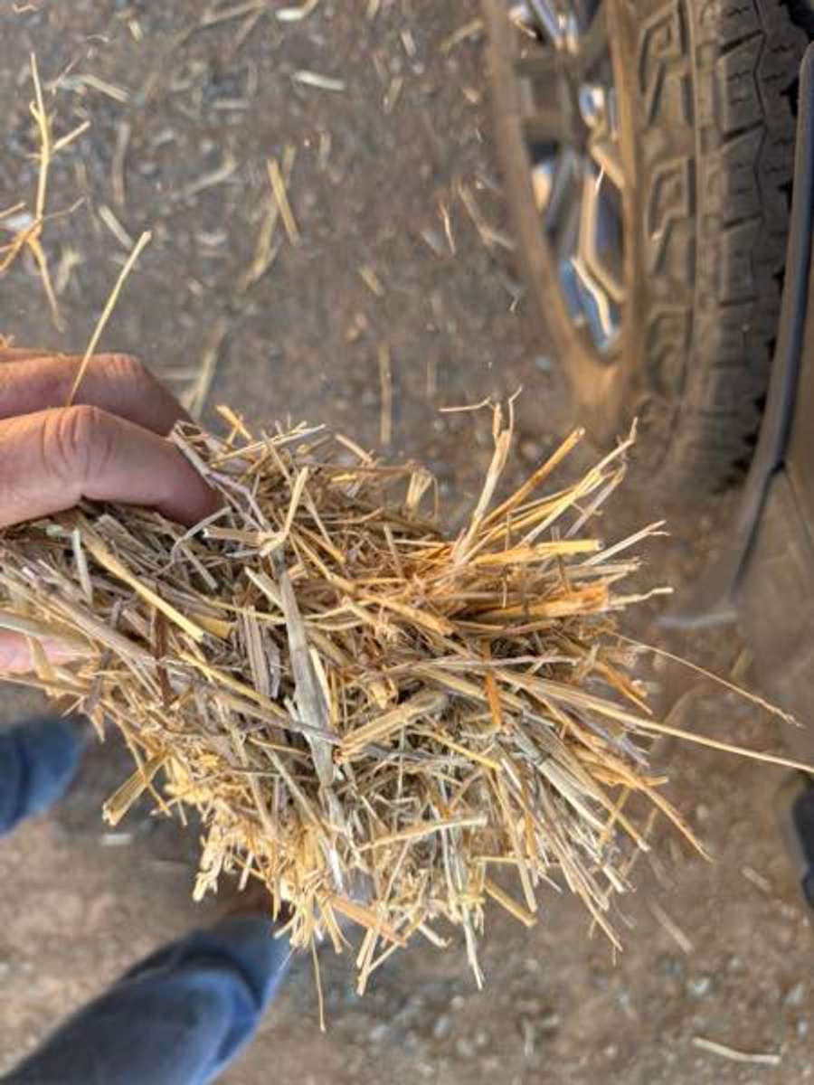 Batch 4990788000176645034 Image