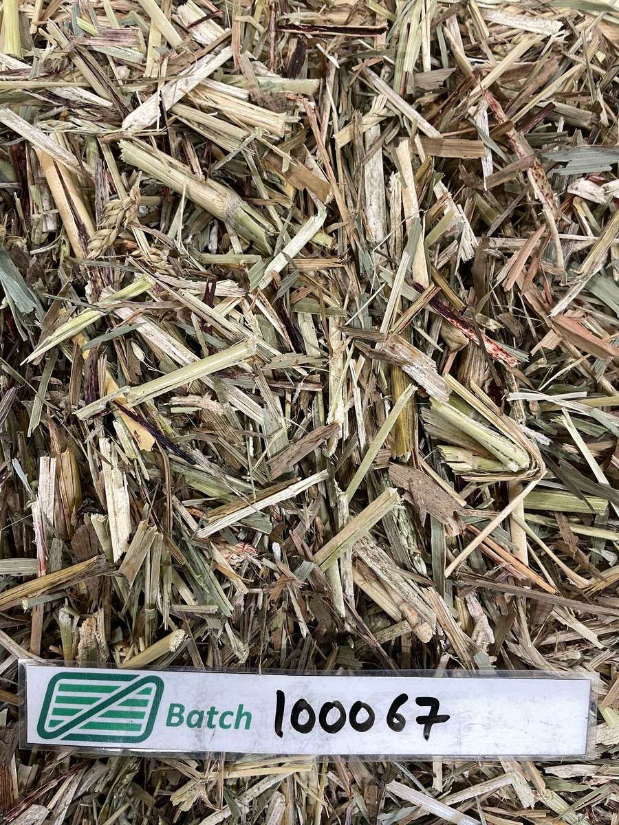 Batch 4990788000220292001 Image