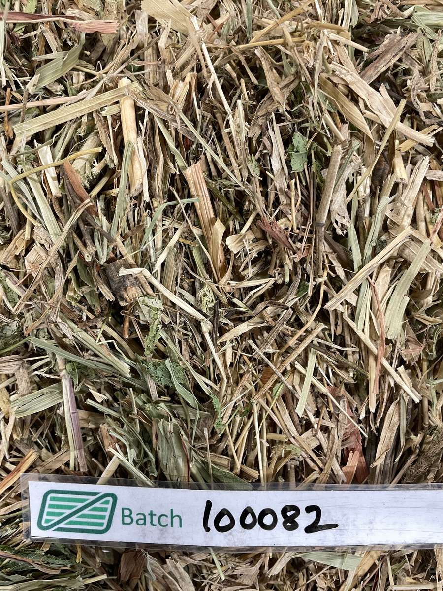 Batch 4990788000220608087 Image