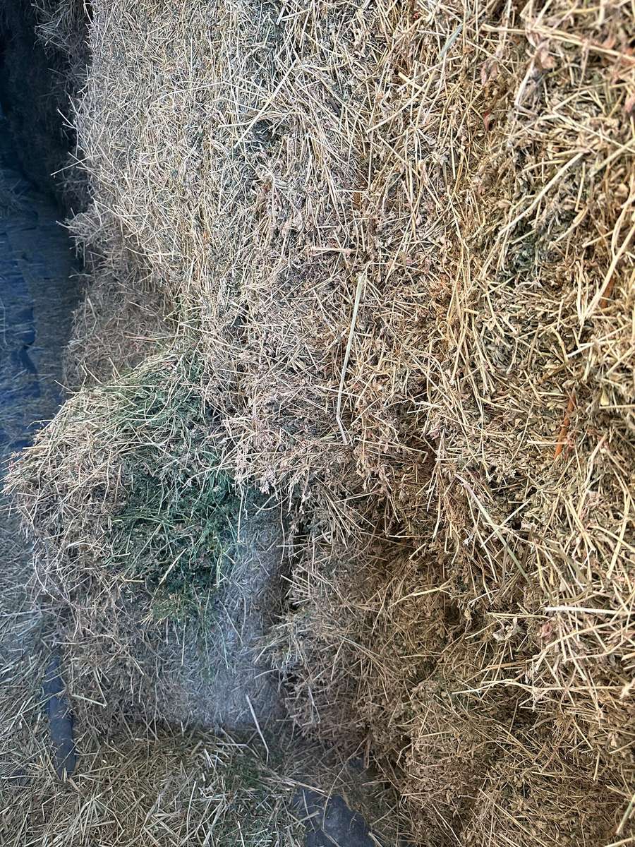 Batch 4990788000219817001 Image