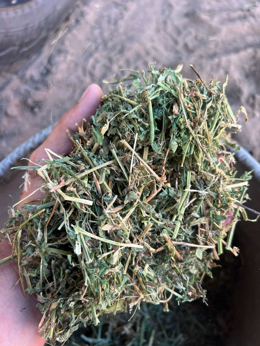 Batch 4990788000219959003 Image