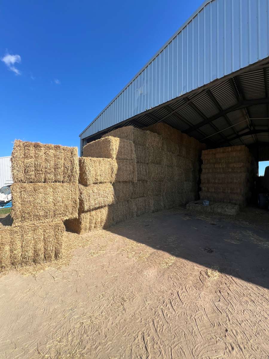 Batch 4990788000220608055 Image