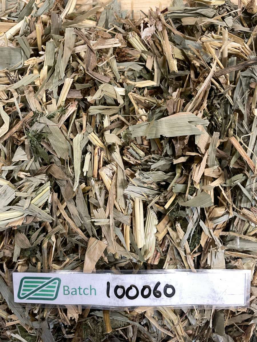 Batch 4990788000220026033 Image