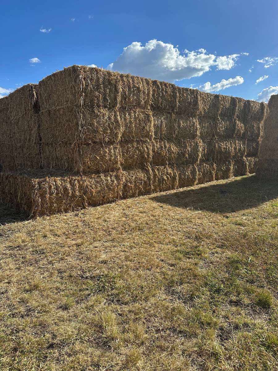 Batch 4990788000219910001 Image