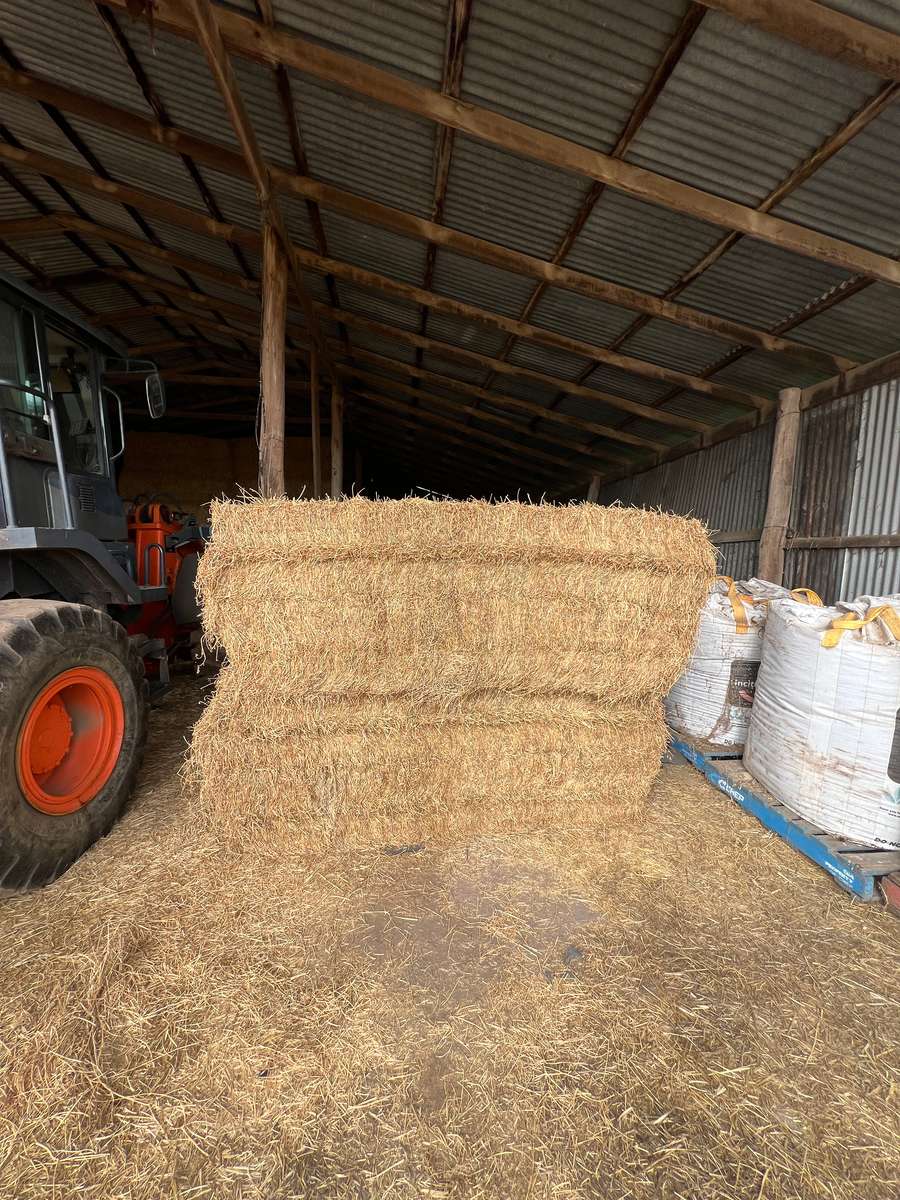 Batch 4990788000220142001 Image