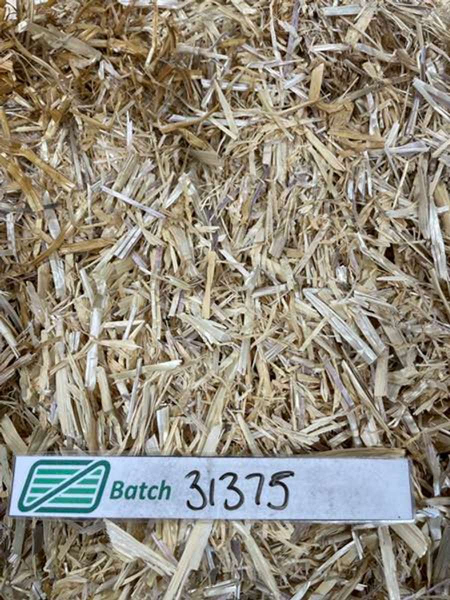 Batch 4990788000174550010 Image