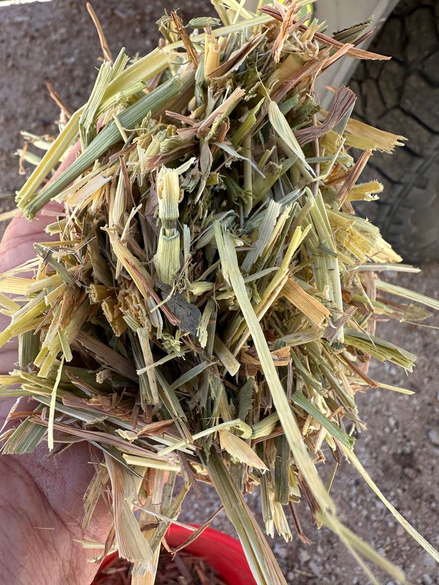 Batch 4990788000220608119 Image