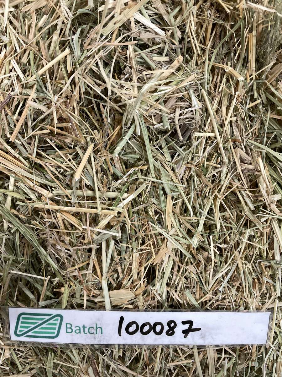 Batch 4990788000220633001 Image