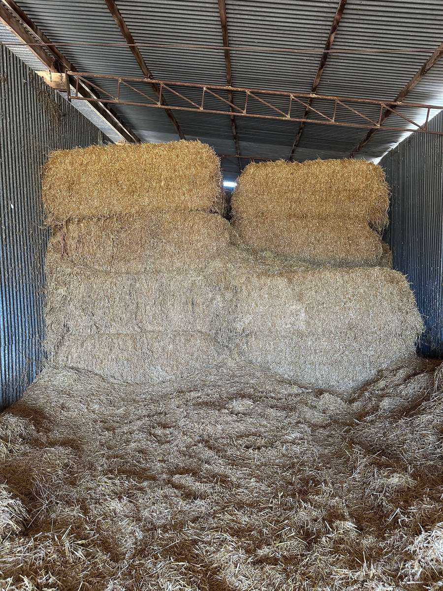 Batch 4990788000219925001 Image