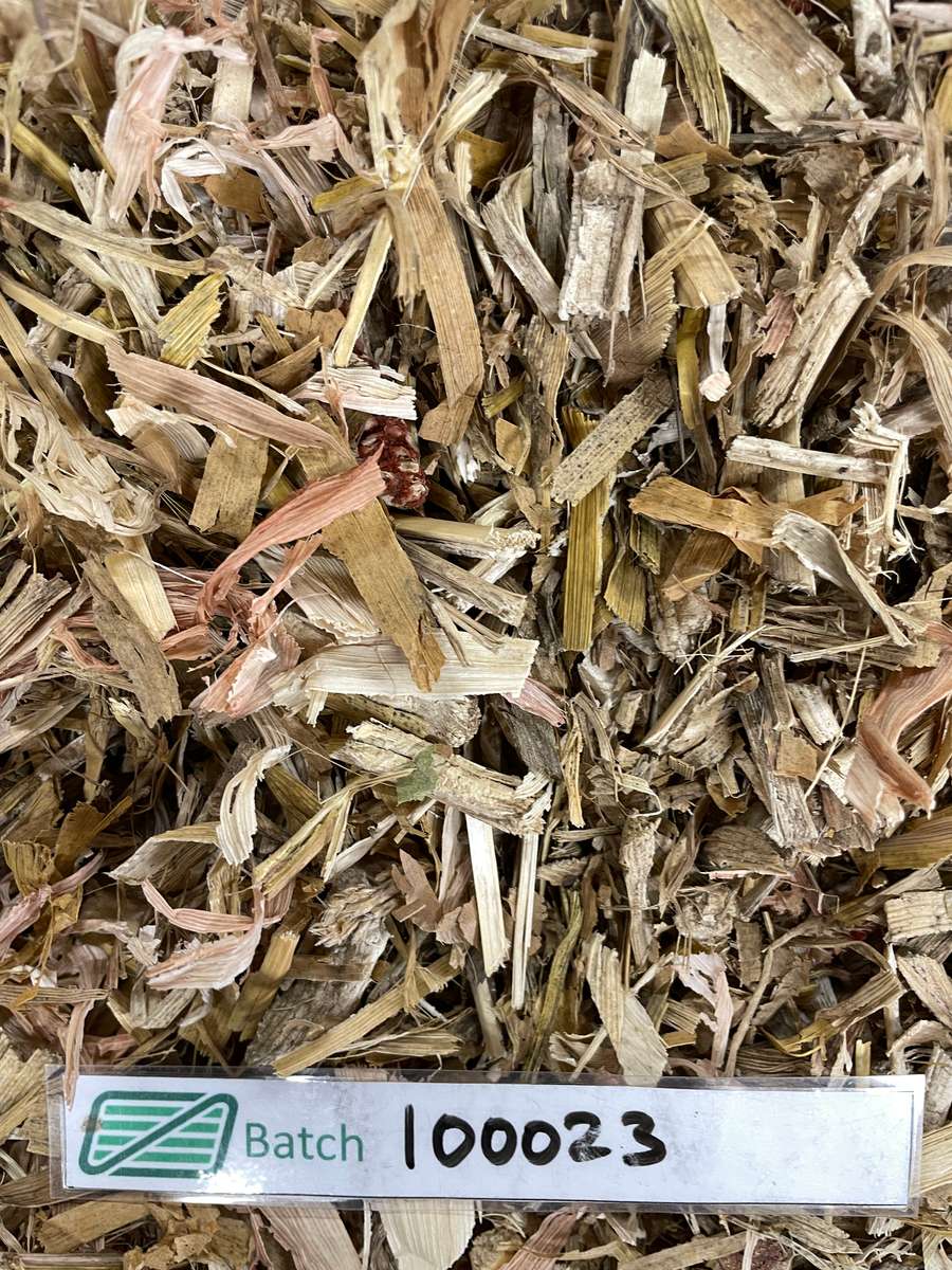 Batch 4990788000217639001 Image