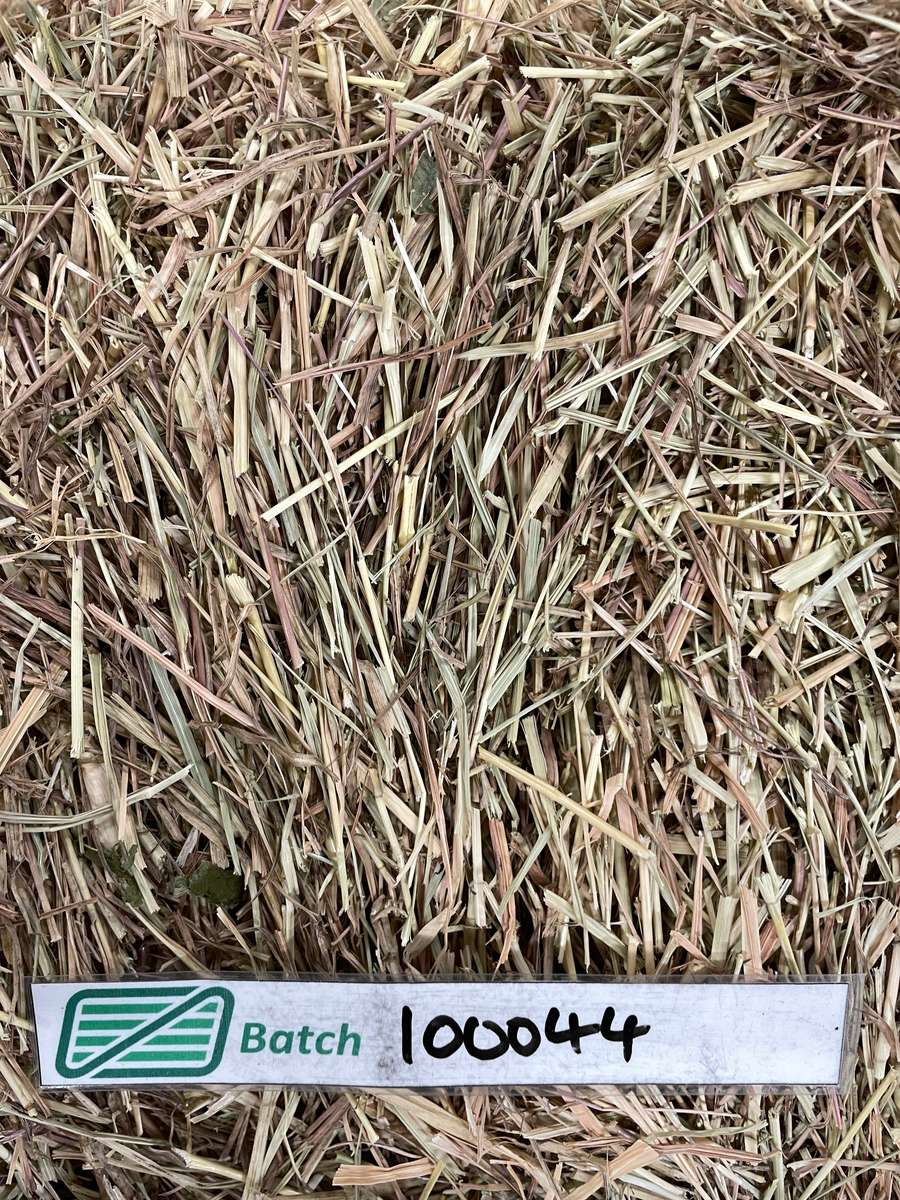 Batch 4990788000218587001 Image