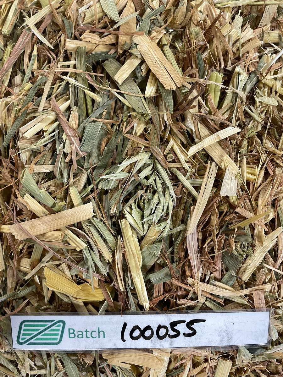 Batch 4990788000219722001 Image