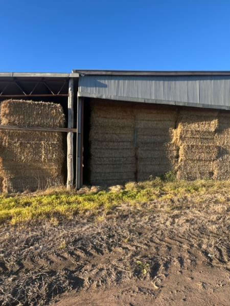 Batch 4990788000121692155 Image