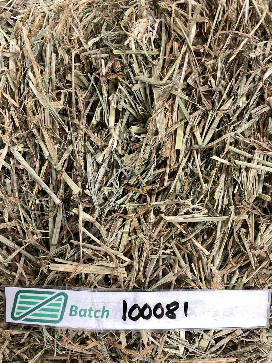 Batch 4990788000220608055 Image