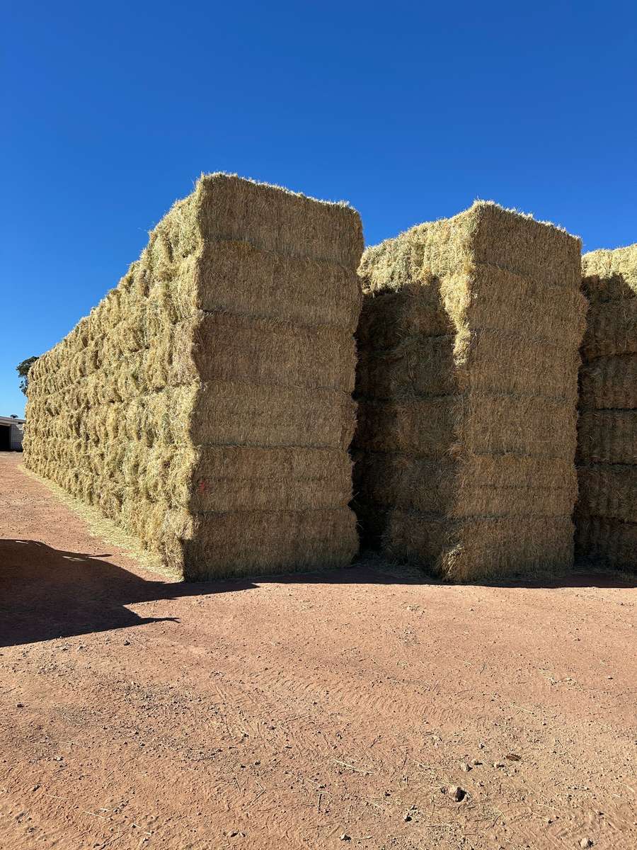 Batch 4990788000220631001 Image