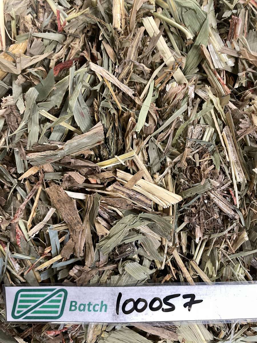 Batch 4990788000219910001 Image