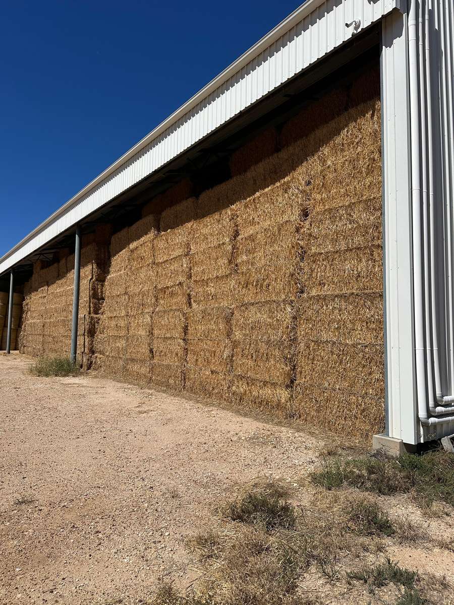 Batch 4990788000220618017 Image