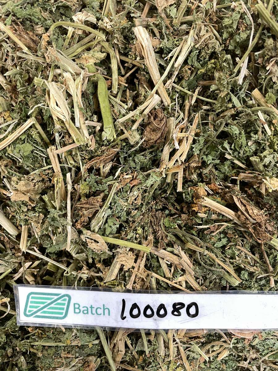 Batch 4990788000220531055 Image