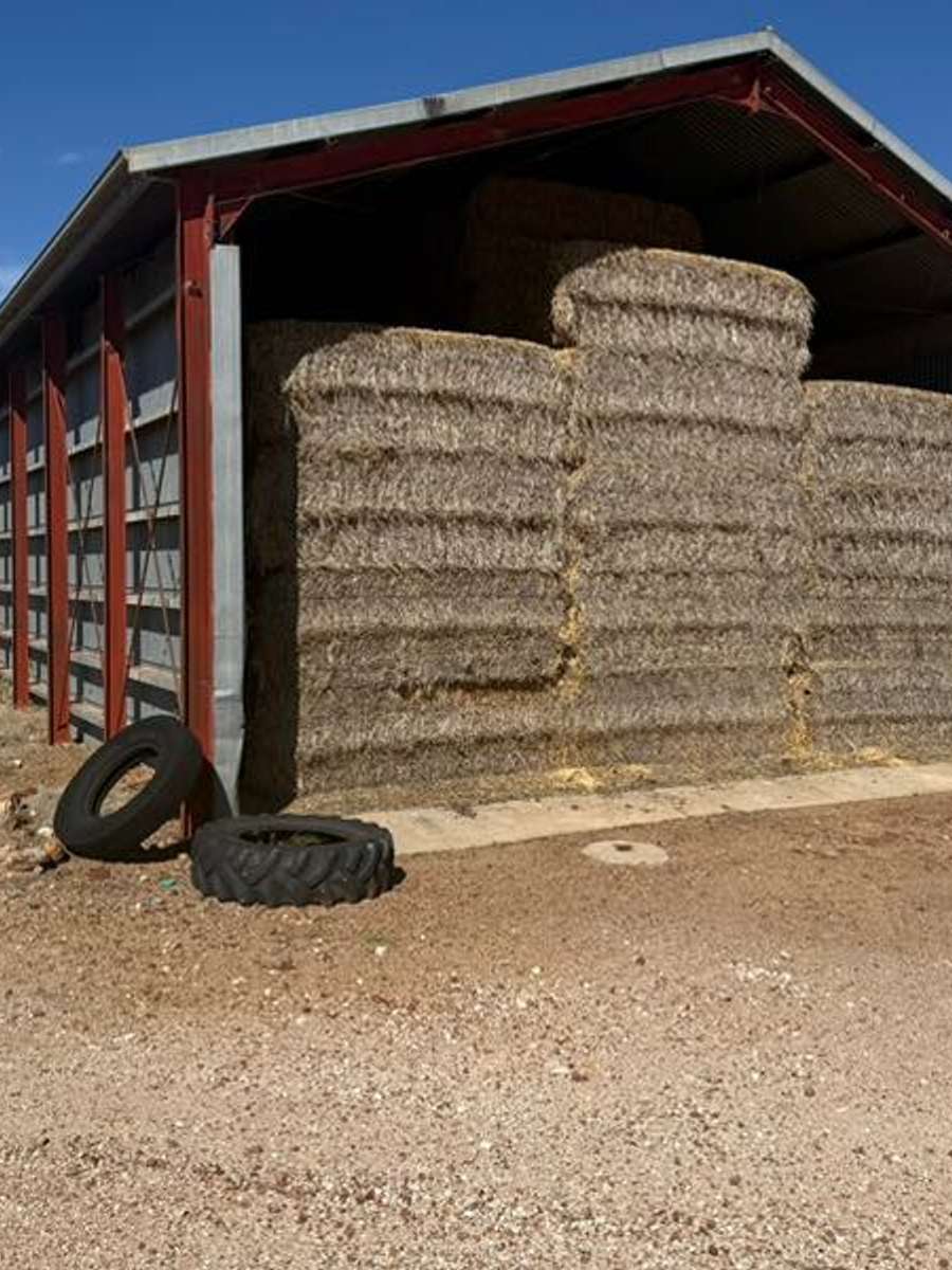 Batch 4990788000174555007 Image