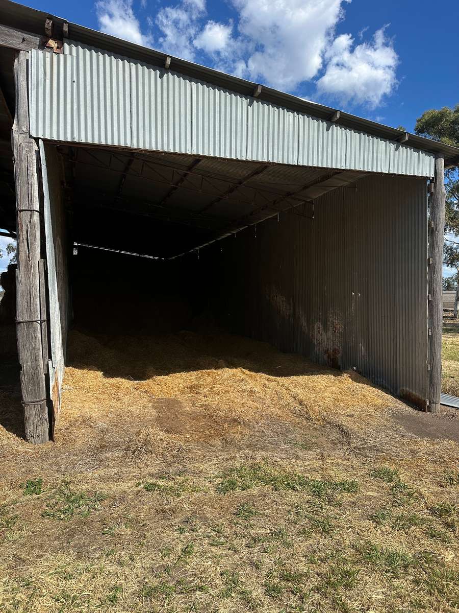 Batch 4990788000219925001 Image