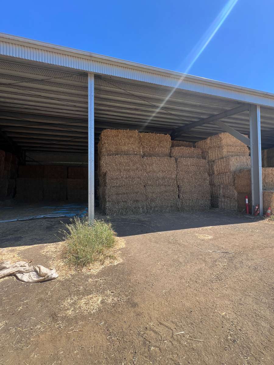 Batch 4990788000220608087 Image