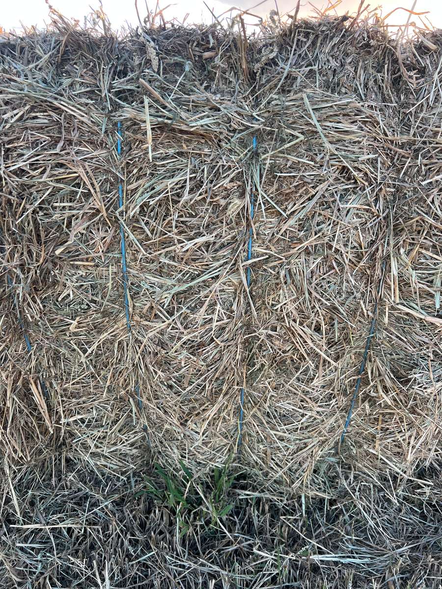 Batch 4990788000220026065 Image