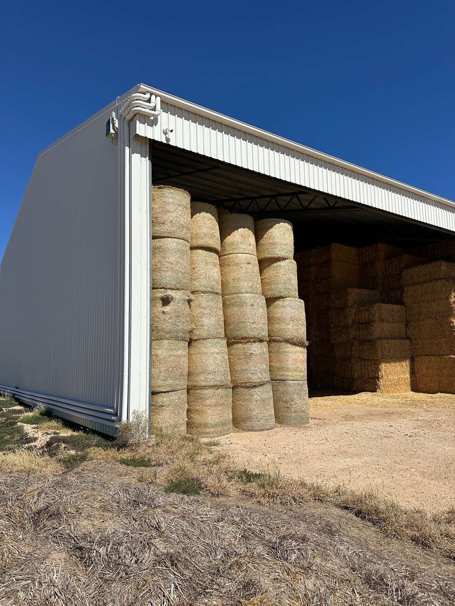 Batch 4990788000220608119 Image