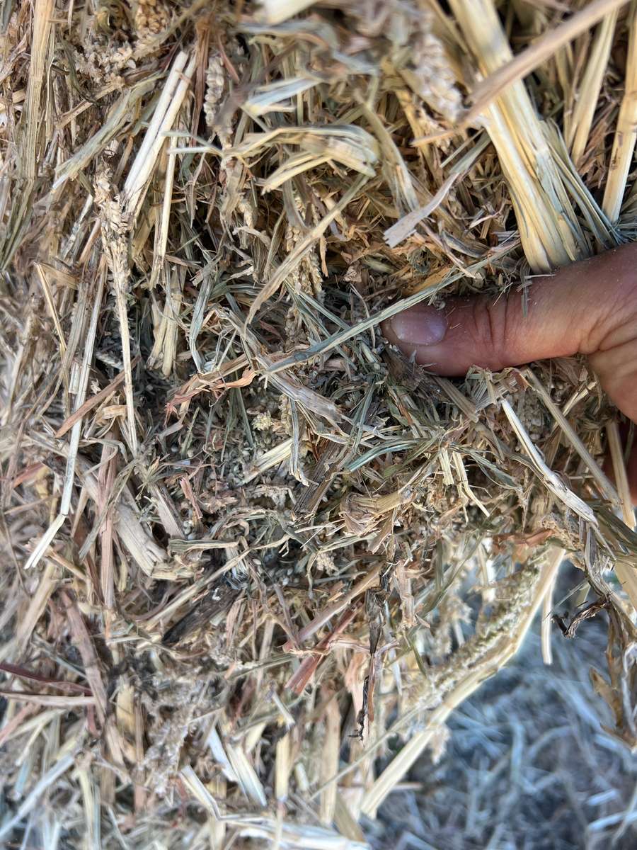 Batch 4990788000220171001 Image