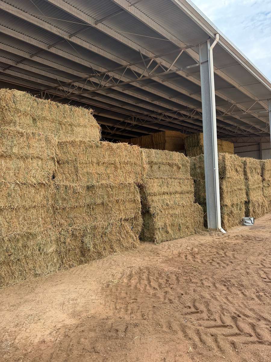 Batch 4990788000217960001 Image