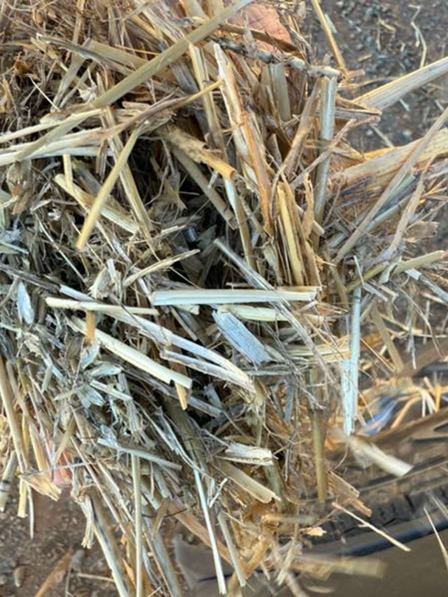 Batch 4990788000176645034 Image