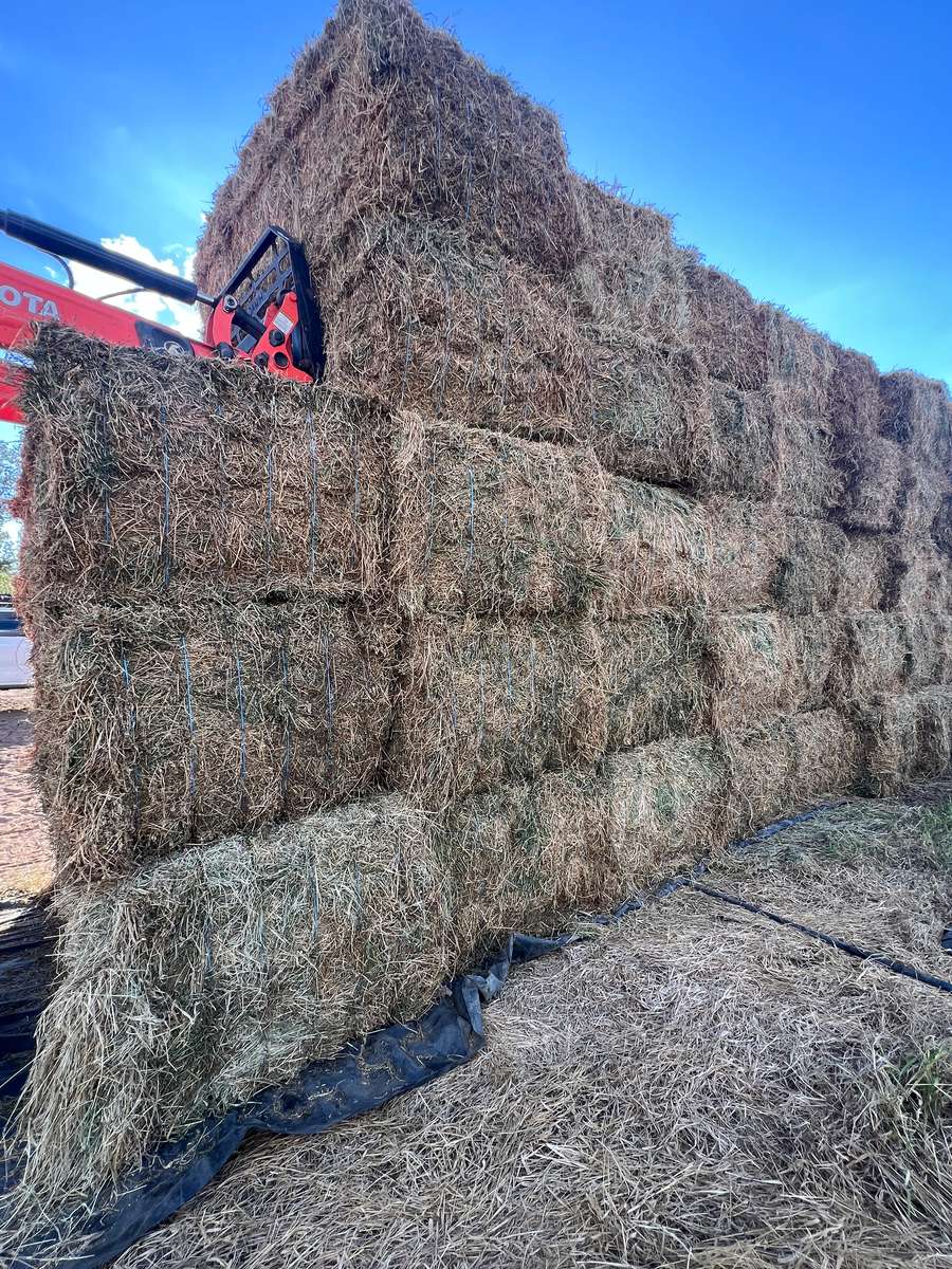 Batch 4990788000219959003 Image