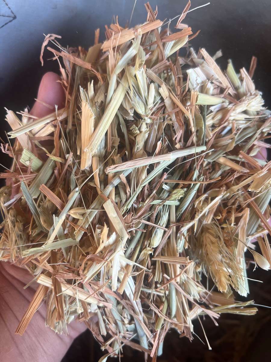 Batch 4990788000220591001 Image