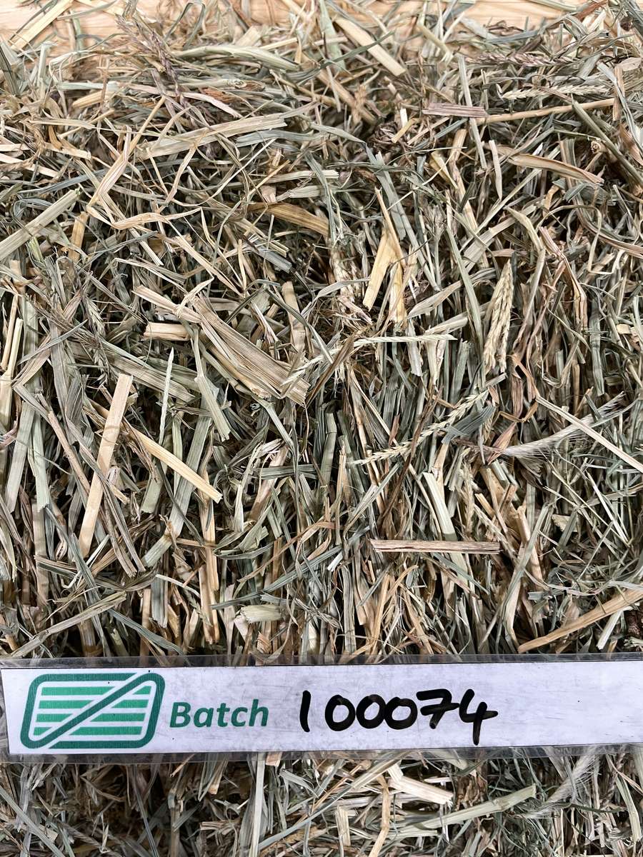 Batch 4990788000220353001 Image