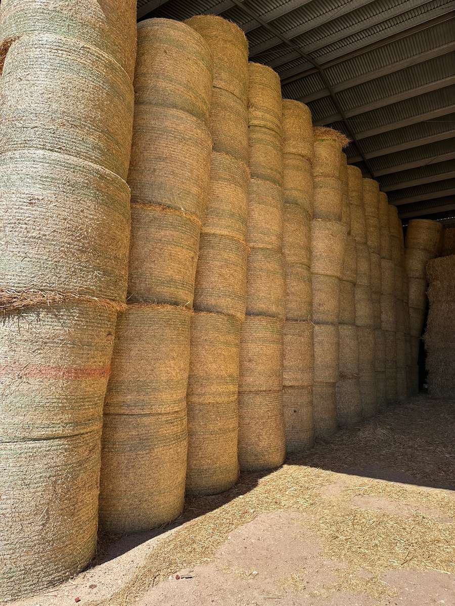 Batch 4990788000220608119 Image