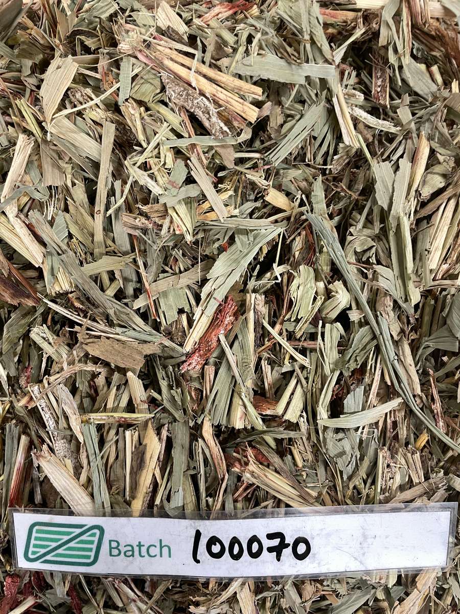 Batch 4990788000220337001 Image