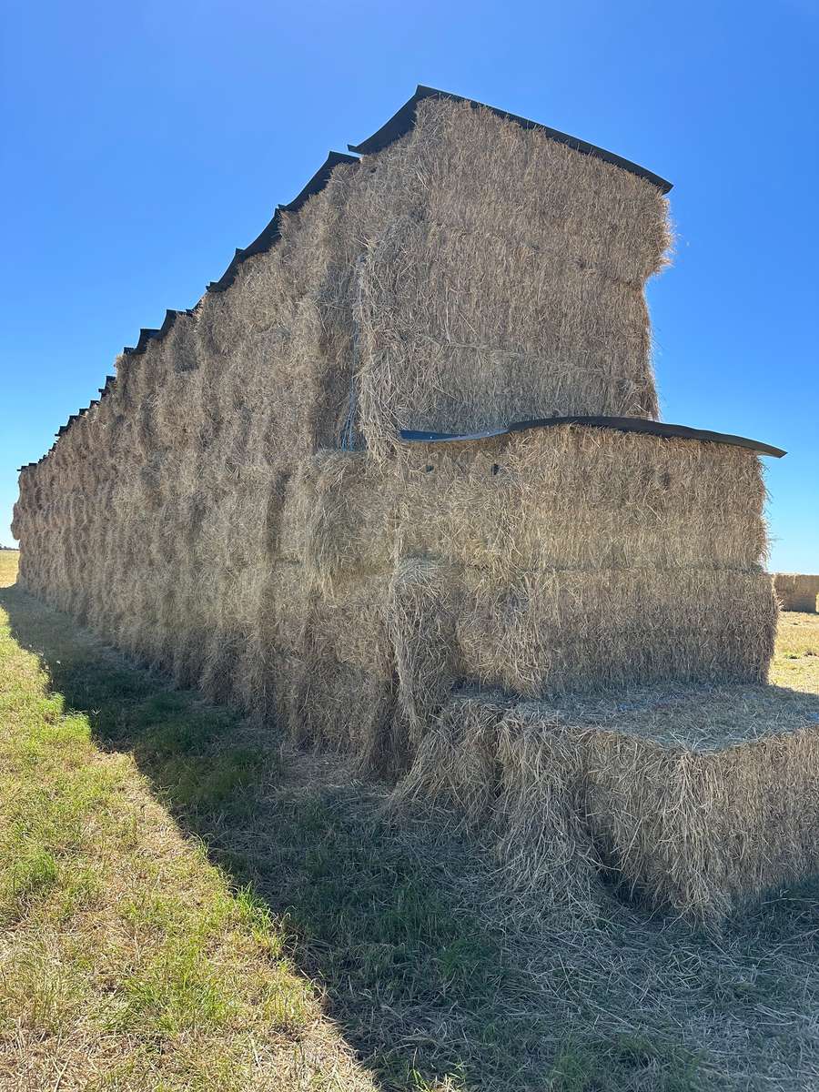 Batch 4990788000220630001 Image