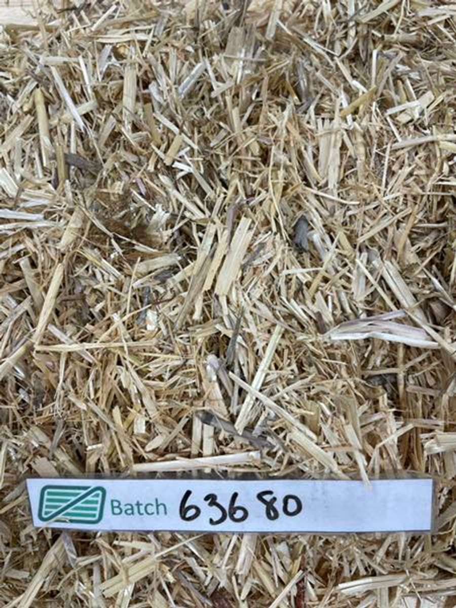 Batch 4990788000121692155 Image