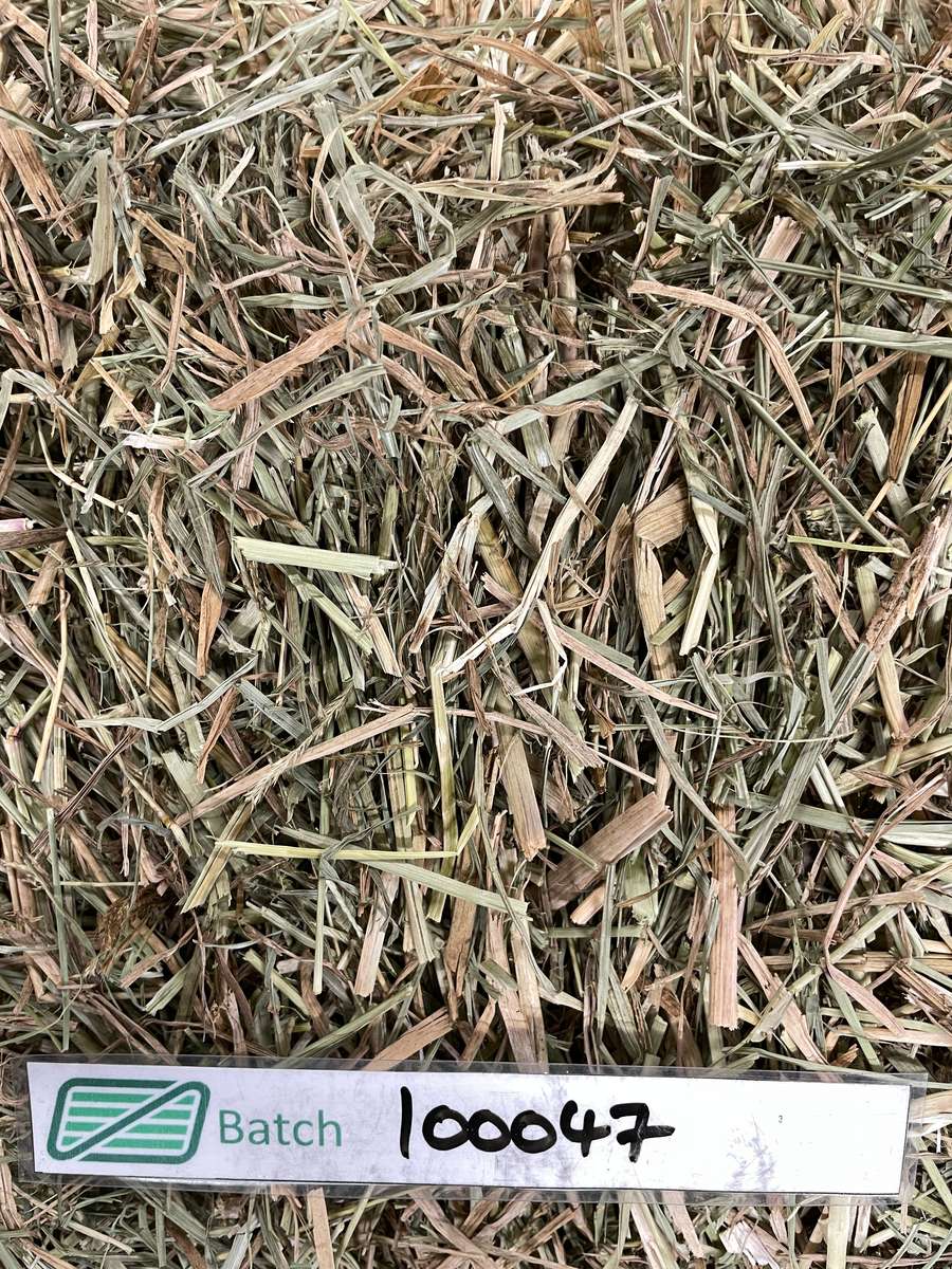 Batch 4990788000218842001 Image