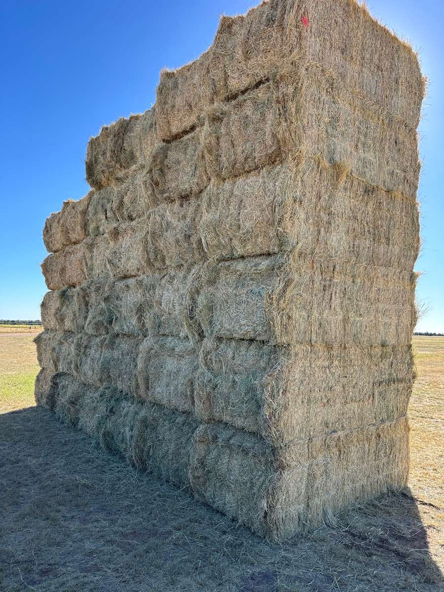 Batch 4990788000220633001 Image