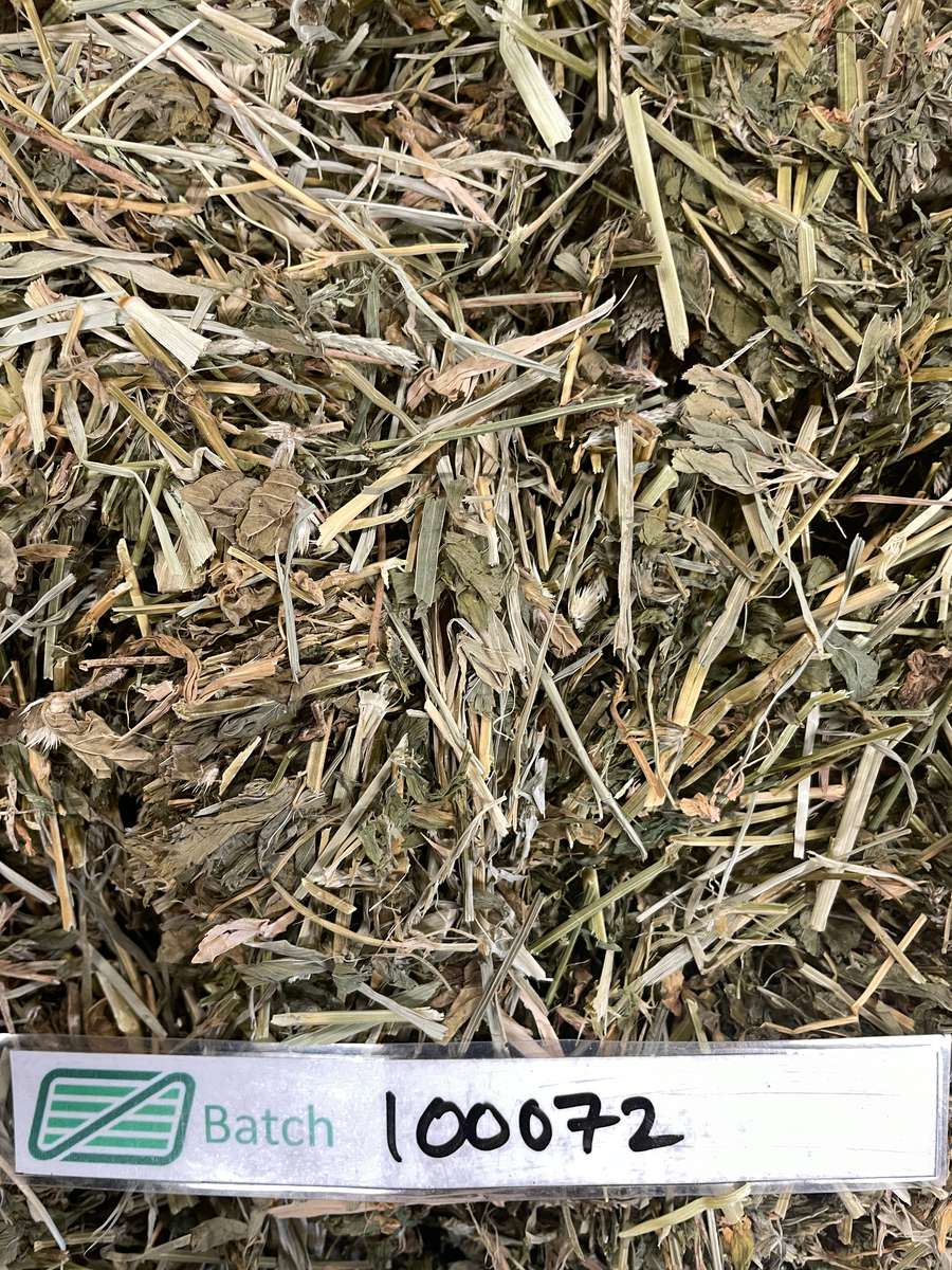 Batch 4990788000220278049 Image