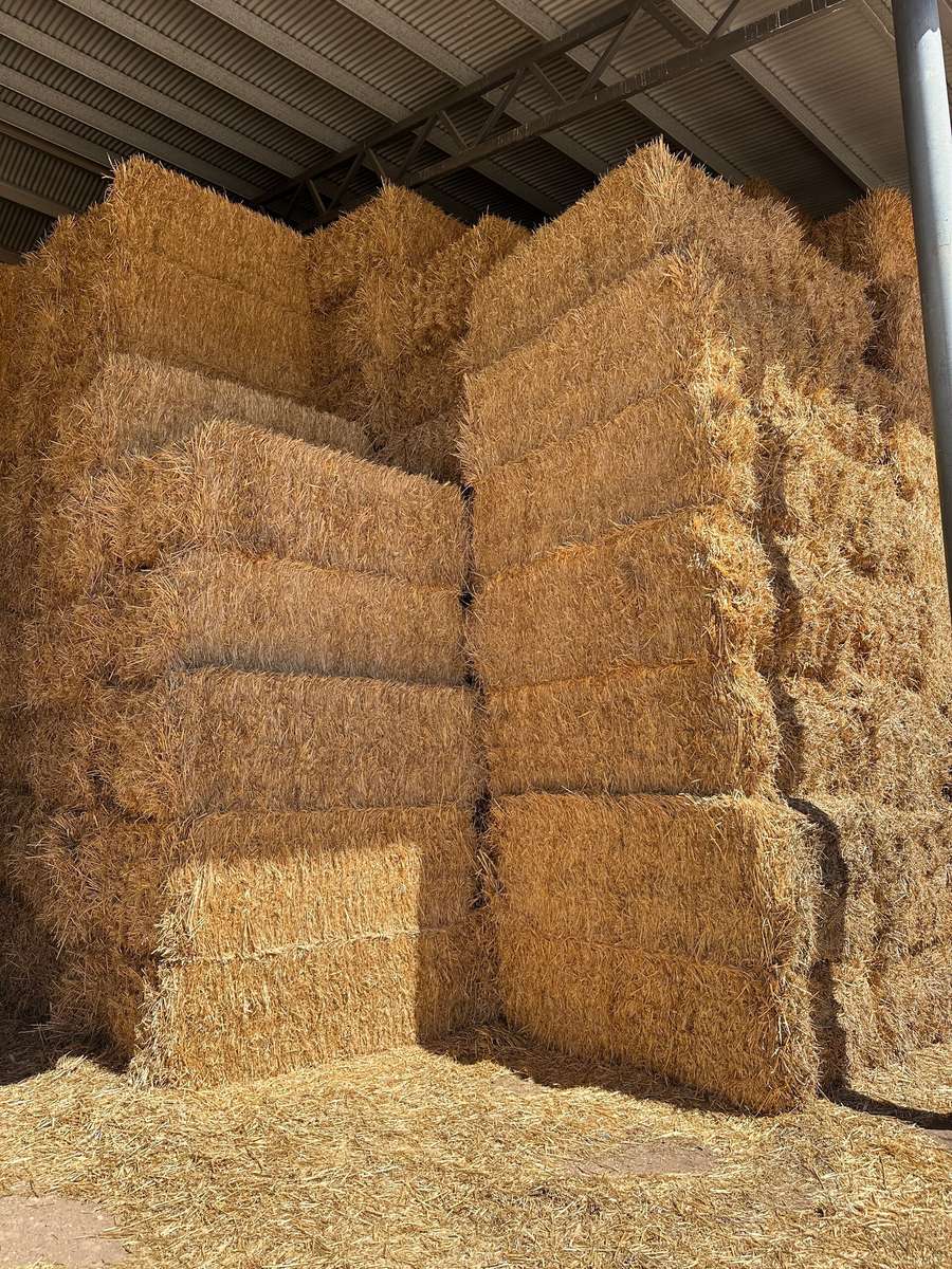 Batch 4990788000220618017 Image