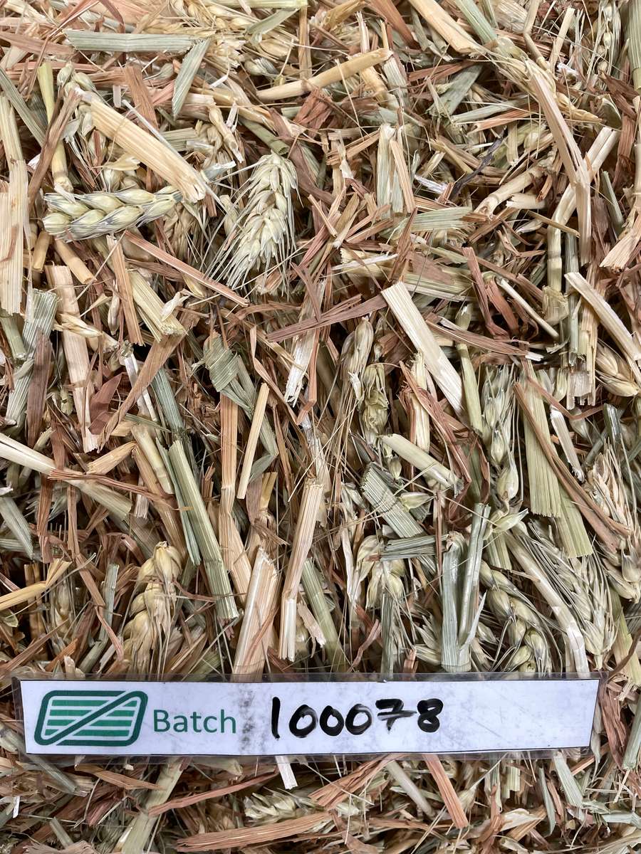 Batch 4990788000220591001 Image