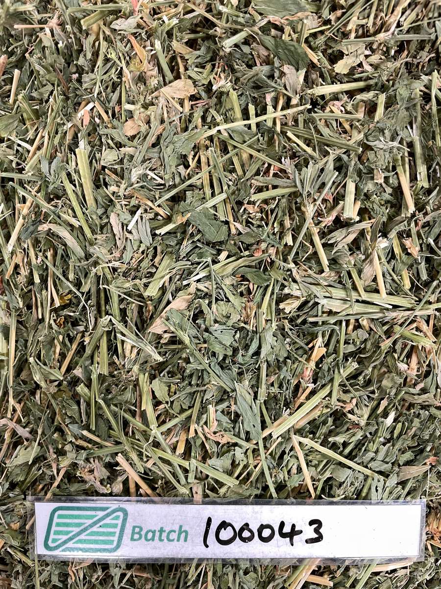 Batch 4990788000218365035 Image