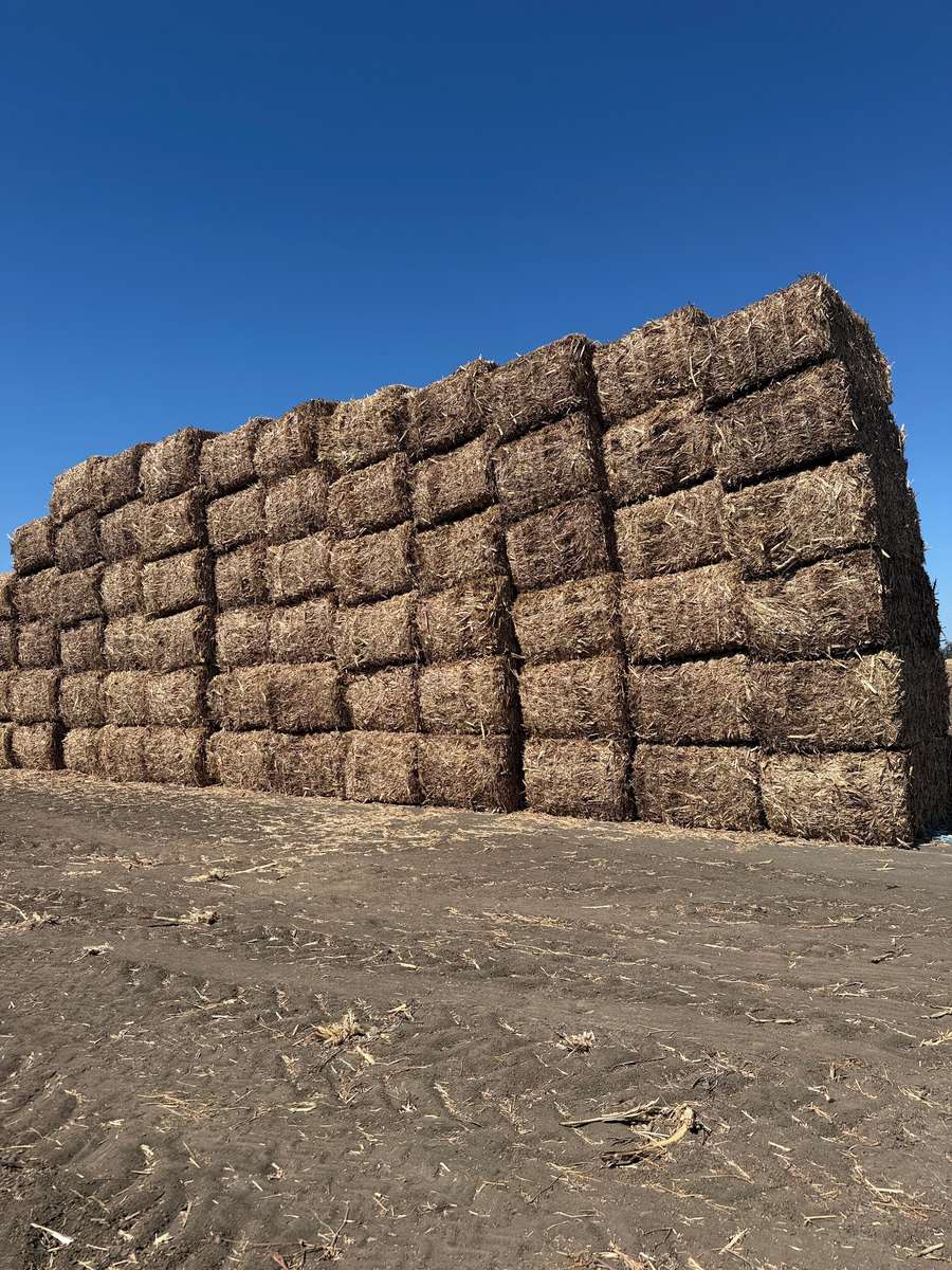 Batch 4990788000220026001 Image