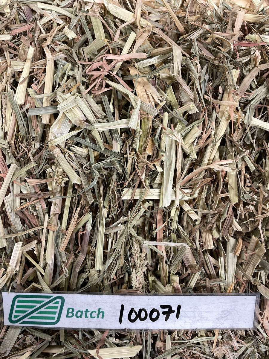 Batch 4990788000220341001 Image