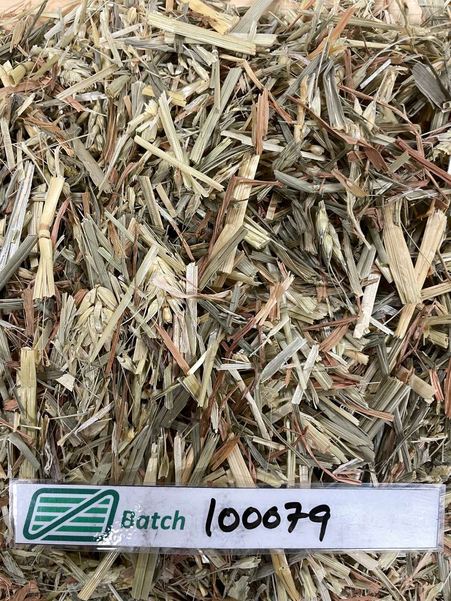 Batch 4990788000220591033 Image