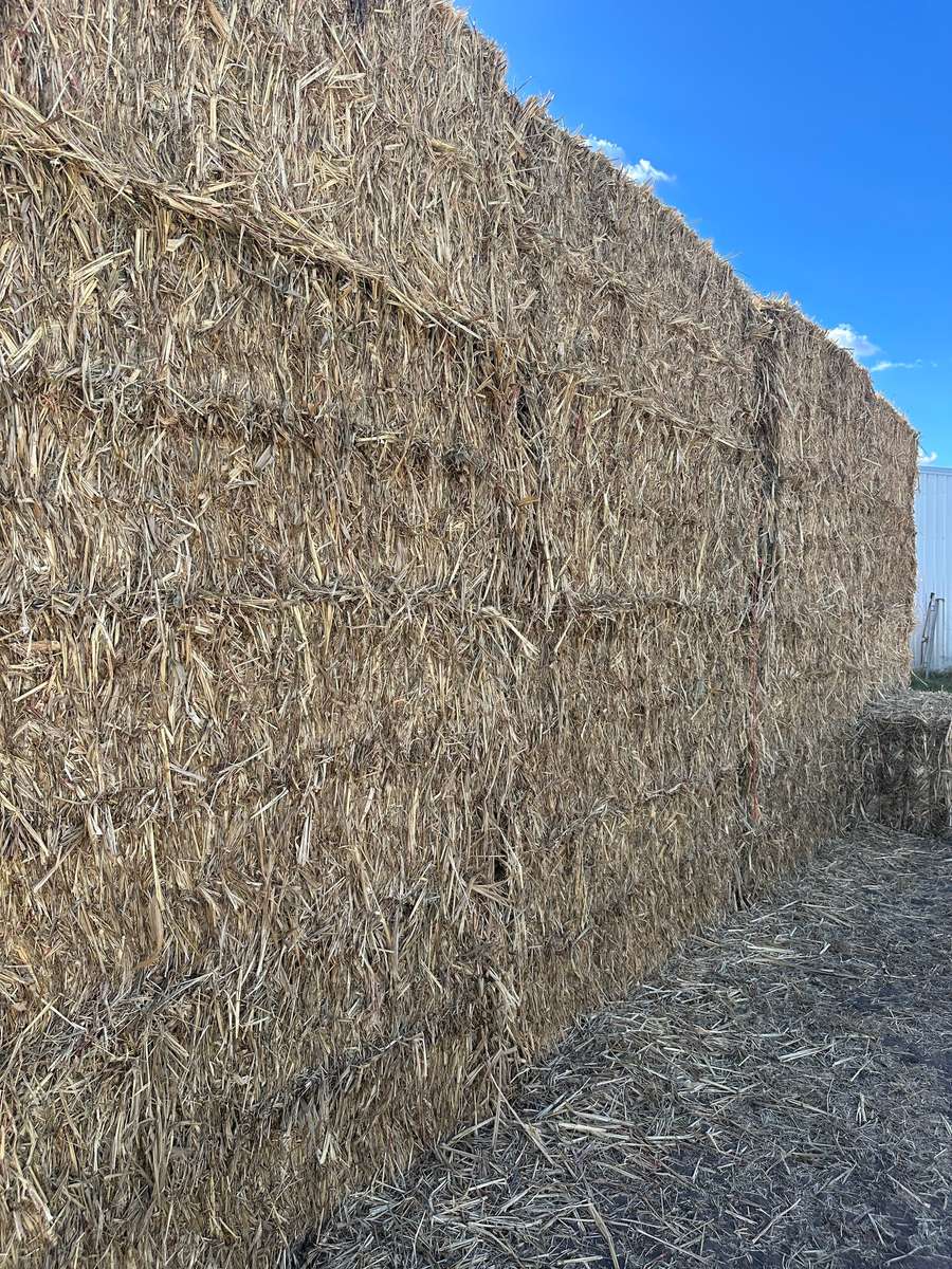 Batch 4990788000219910001 Image