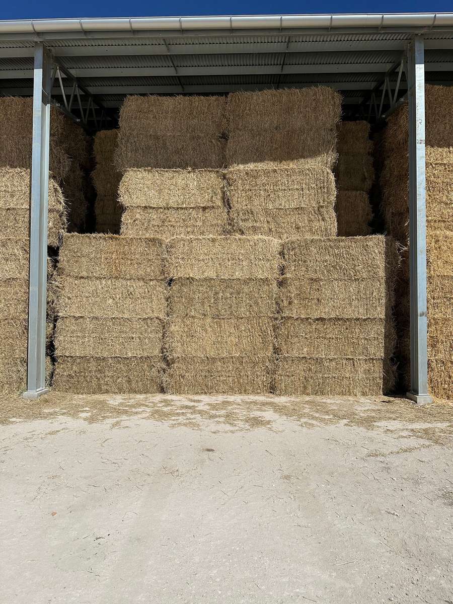 Batch 4990788000219817001 Image