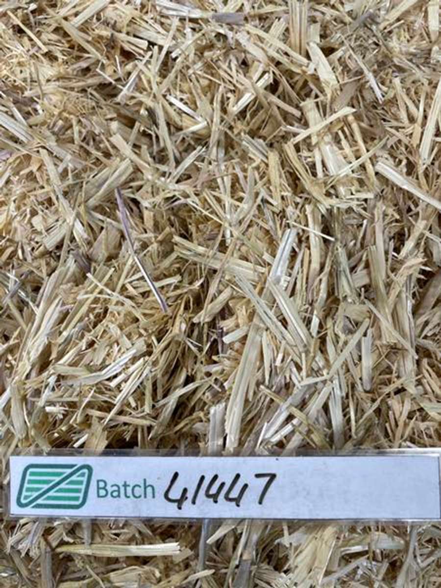 Batch 4990788000174555007 Image