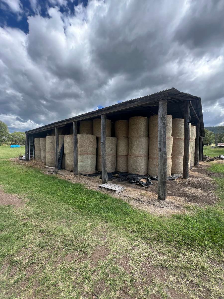 Batch 4990788000218587001 Image